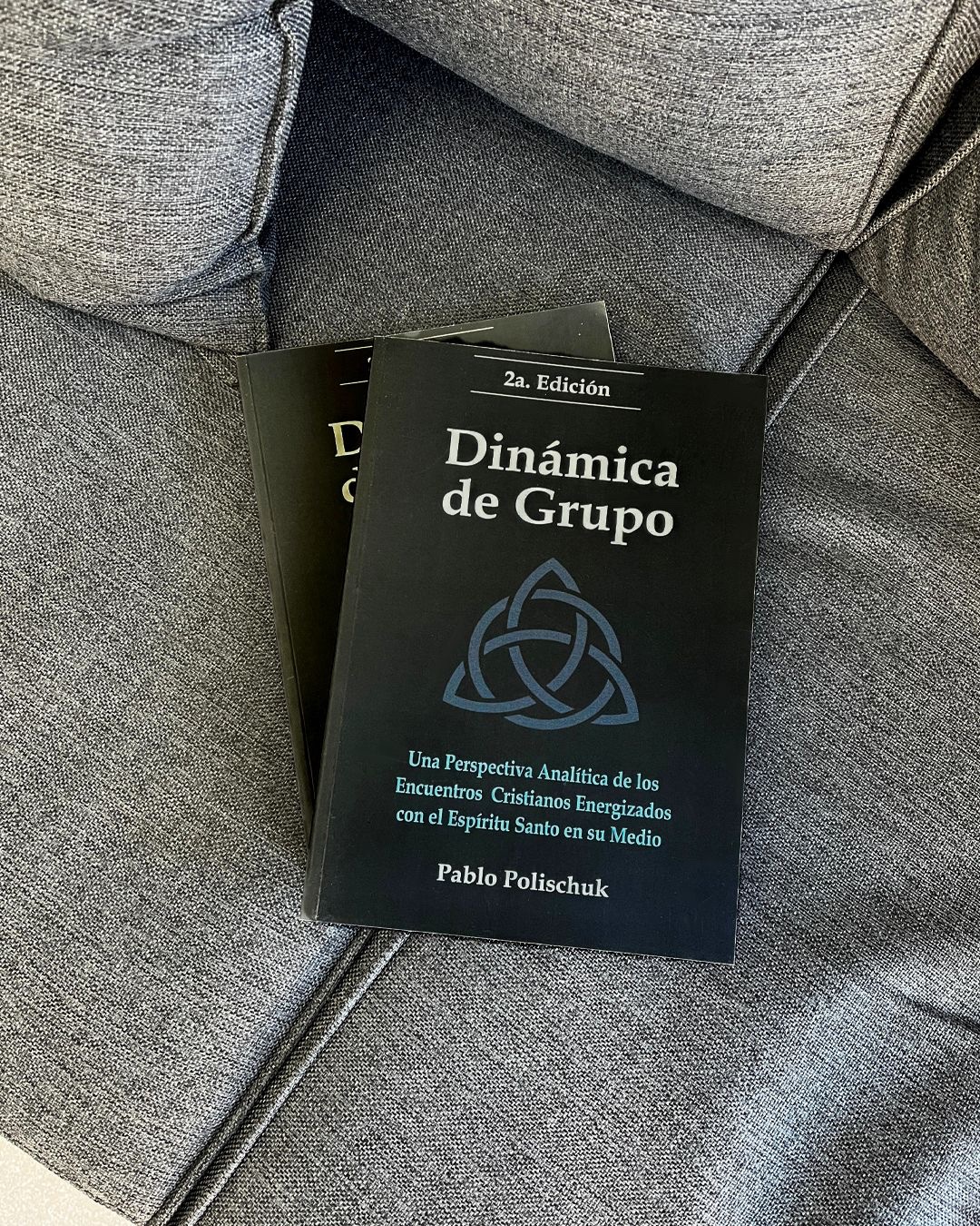 Dinámica De Grupo, 2da Edición - Pablo Polischuk - Imagen 3